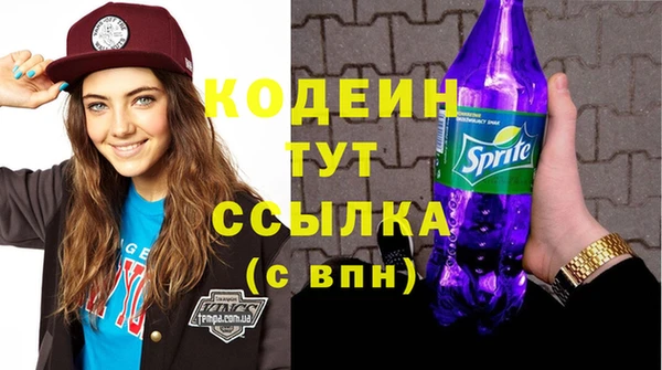гидра Гусиноозёрск