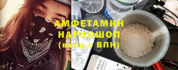 гидра Гусиноозёрск