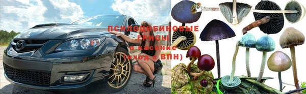 меф Гусь-Хрустальный