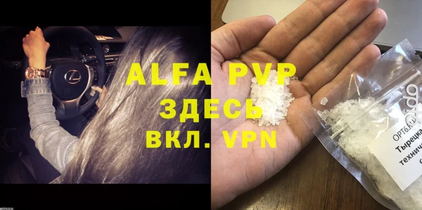 гидра Гусиноозёрск