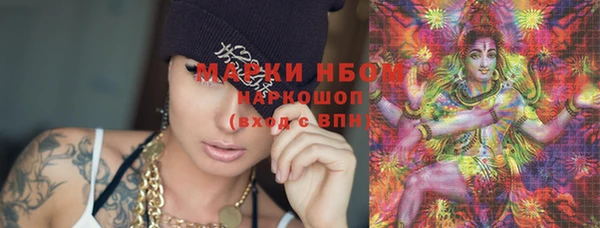 гидра Тайга