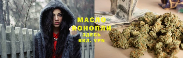 гидра Гусиноозёрск